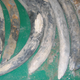Elephant tusks pulled from the 16th-century Bom Jesus shipwreck.